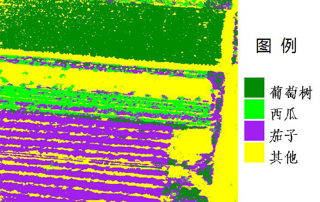 图5  8月7日200 m高光谱图像基于isodata法的分类效果图fig